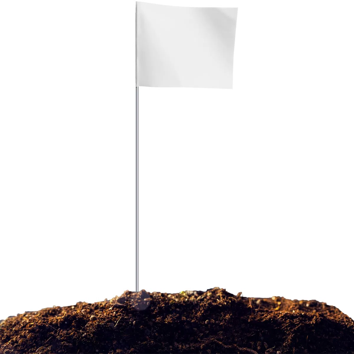 Lot de 50 drapeaux de marquage blancs