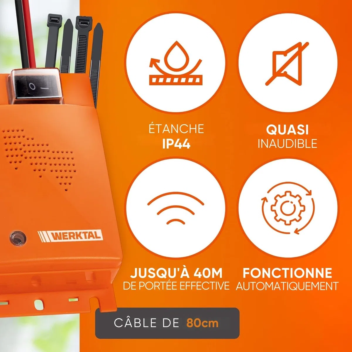 WERKTAL Anti-Martre Voiture – Répulsif Ultrasons & Lumière Flash [Alimentation Batterie Auto] – Marderabwehr Automatique – Protection Moteur Durable – Dispositif Anti Martre Efficace