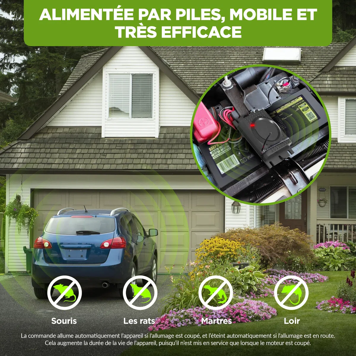 ISOTRONIC Répulsif Contre Les Martres, Souris et Les Rats avec Batterie 12V - Répulsif chassant pour Protection Voiture à Ultrason - Installation Facile et Effet Durable